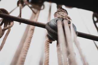 Close-up of a set of ropes running through a block and tackle pulley system, suggesting nautical or climbing equipment. The image is taken from a low angle, emphasizing the texture of the ropes and the metal structure.