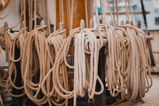 Several coiled ropes are neatly arranged and hung along a wooden railing or structure, possibly on a ship. The ropes are thick and uniformly coiled, indicating organization and order.