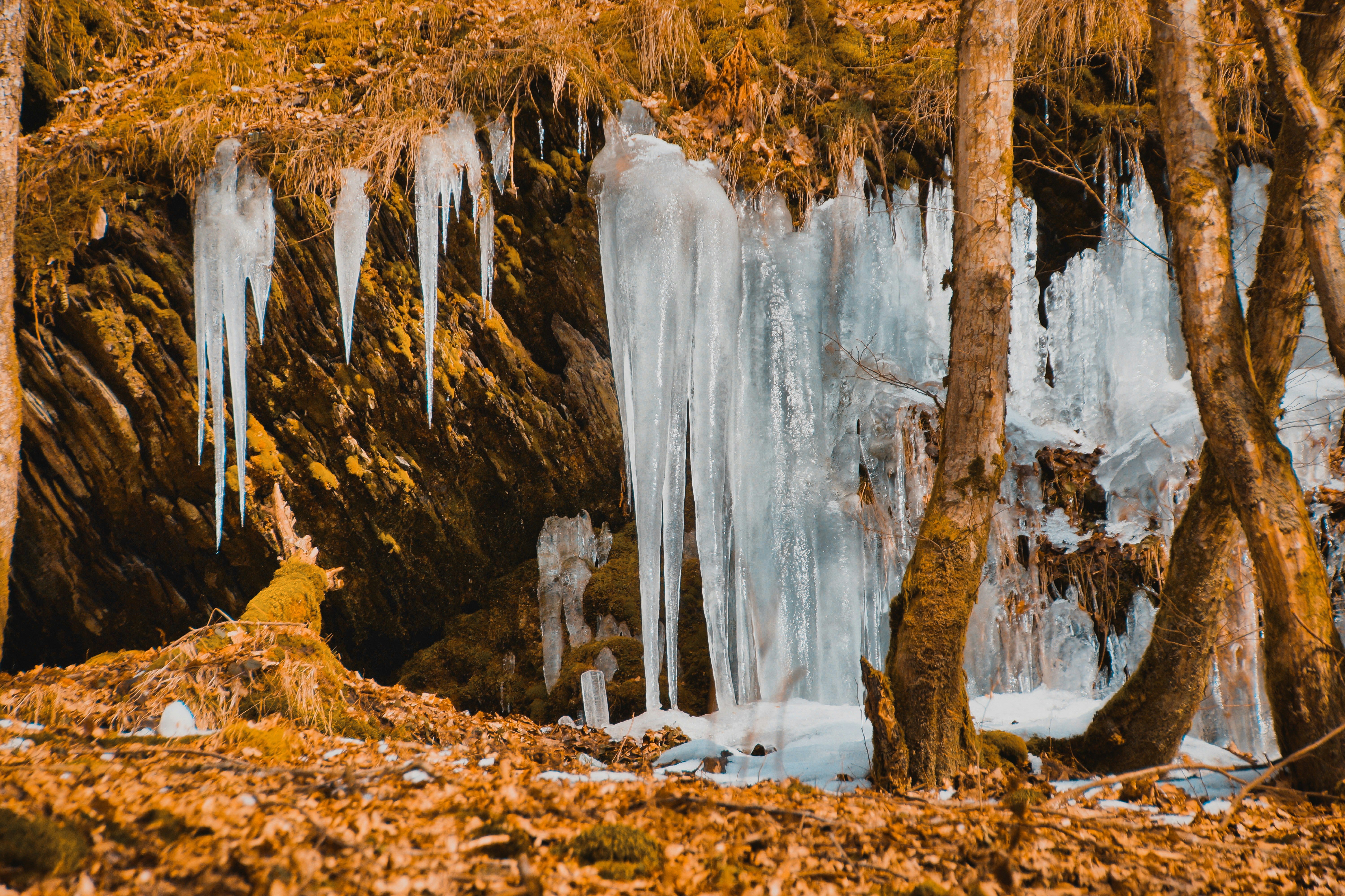 Photo by michelstock