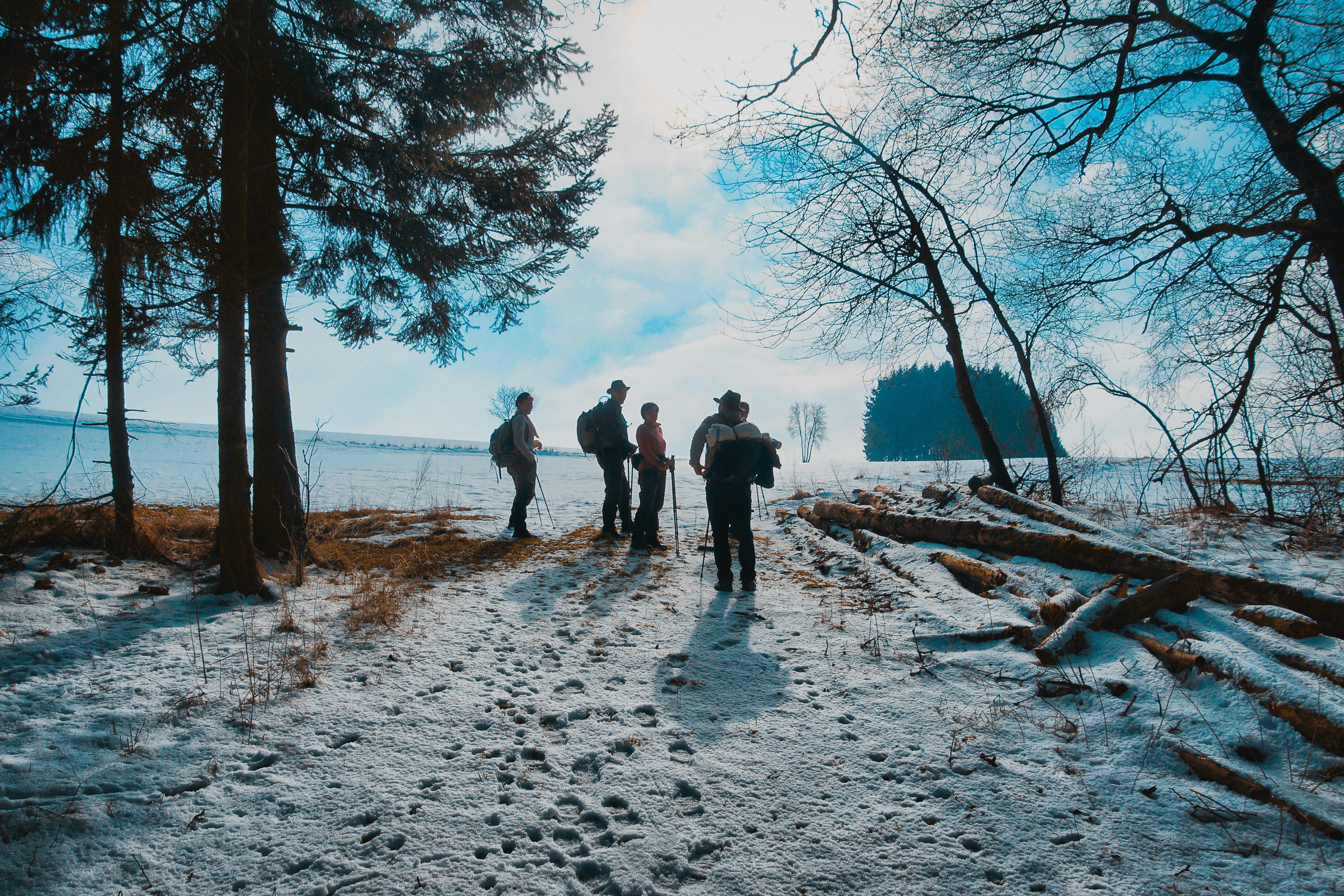 Photo by michelstock