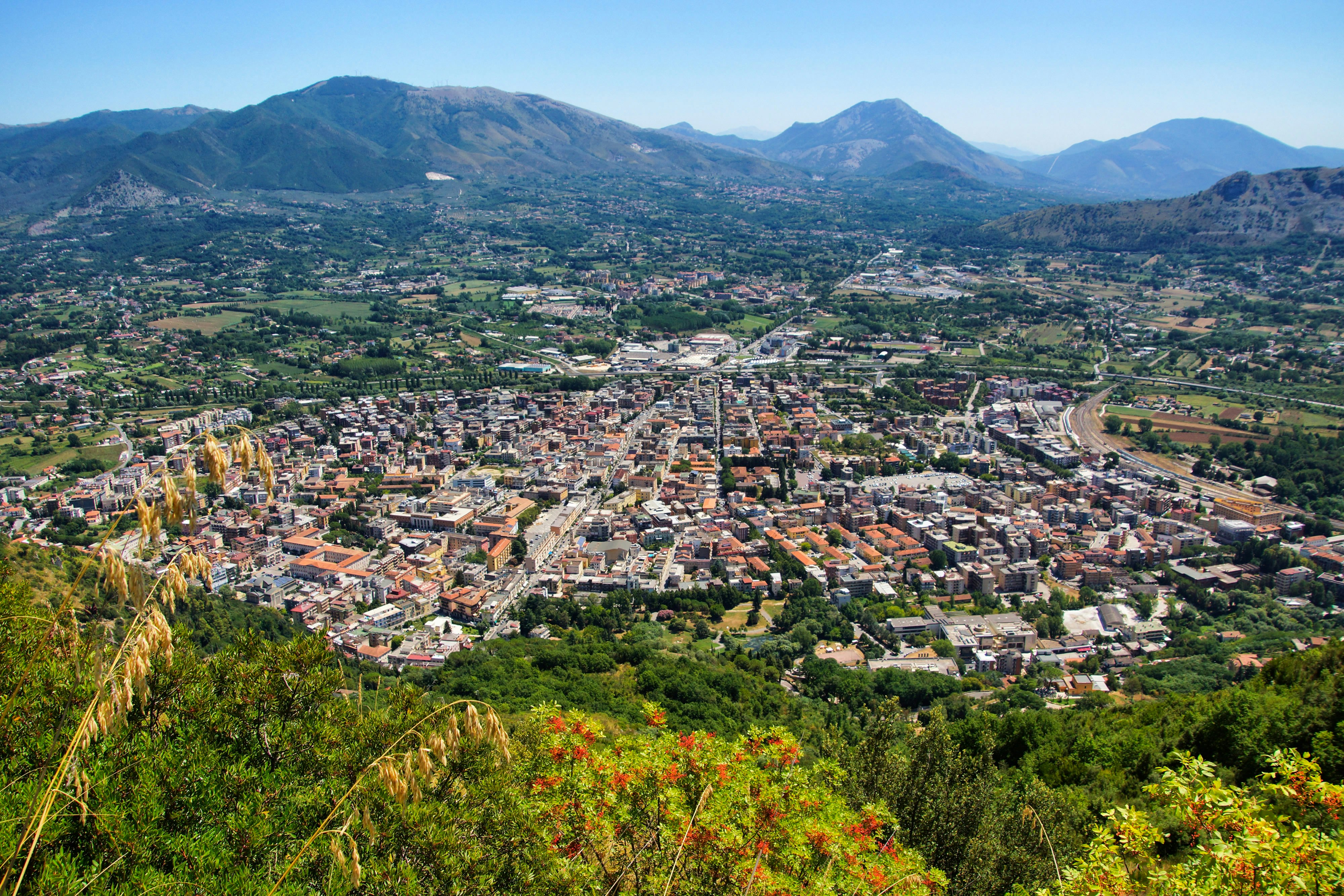 Photo by michelstock