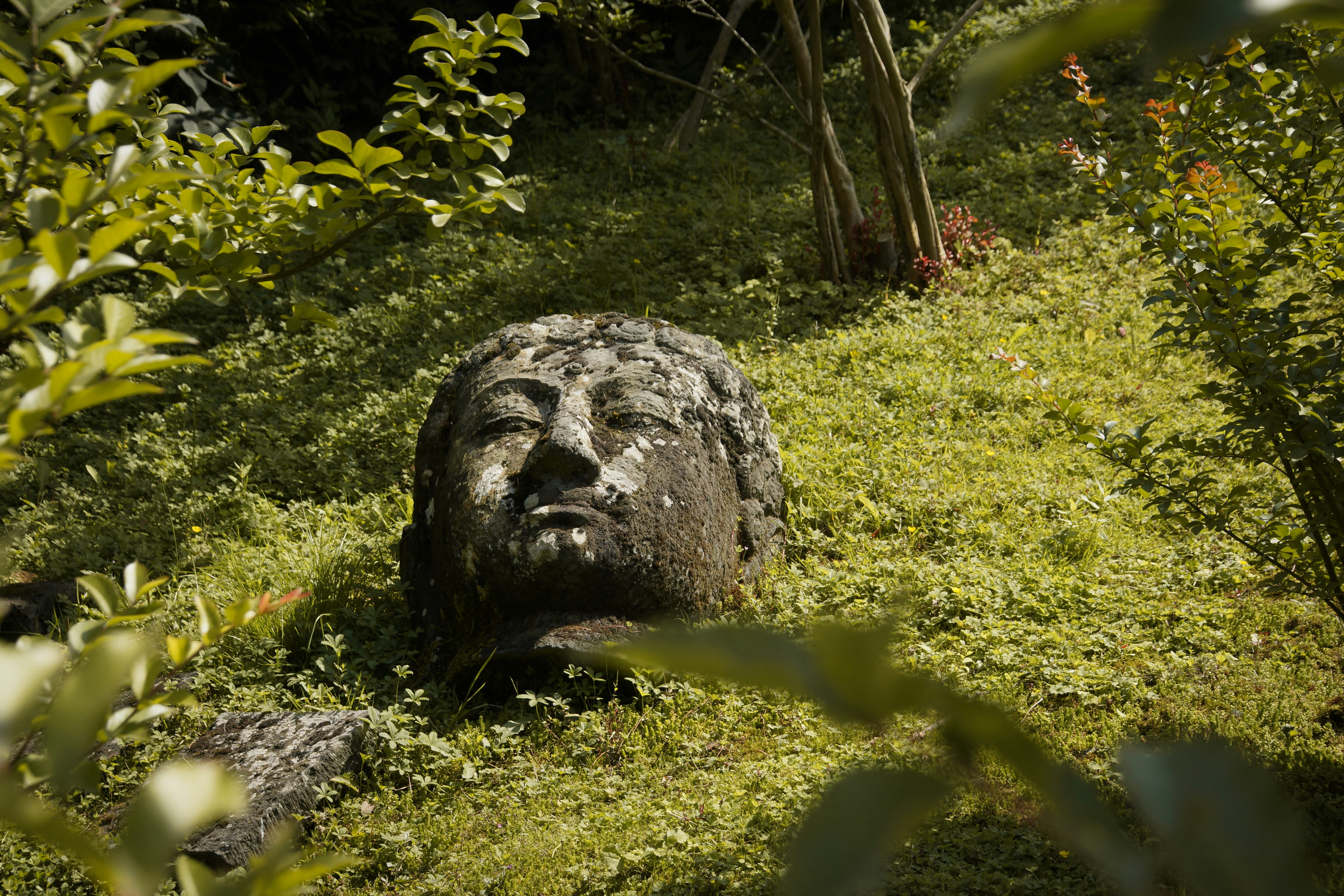 Photo by michelstock