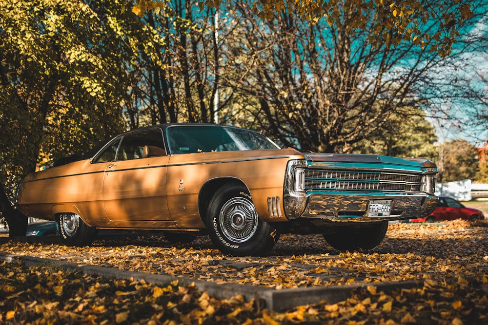 brown coupe on grass field photograph