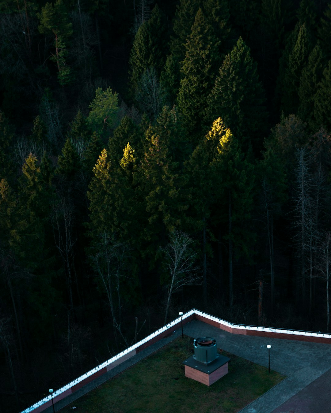 high-angle photography of trees and statue stand