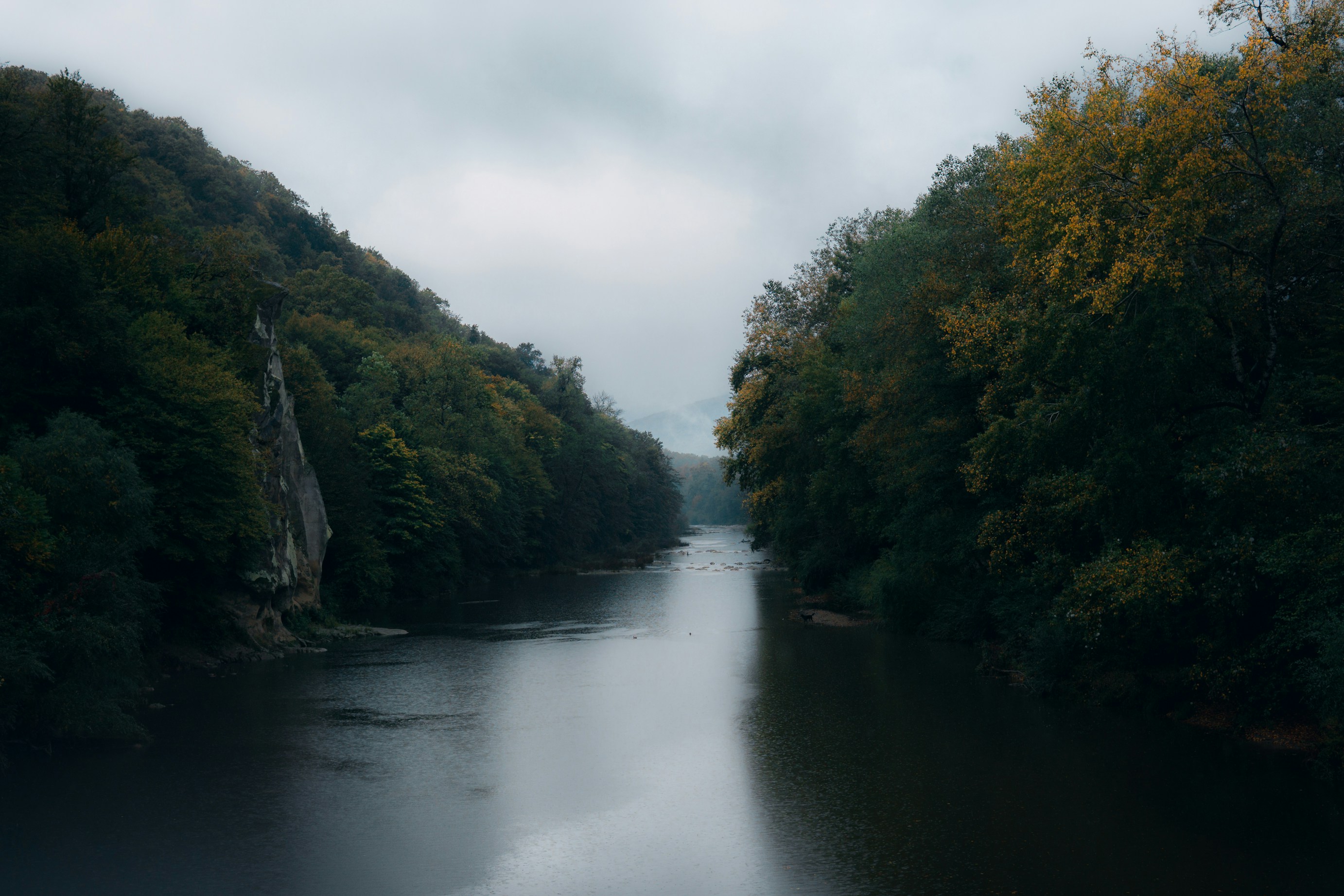 Photo by kirillpershin