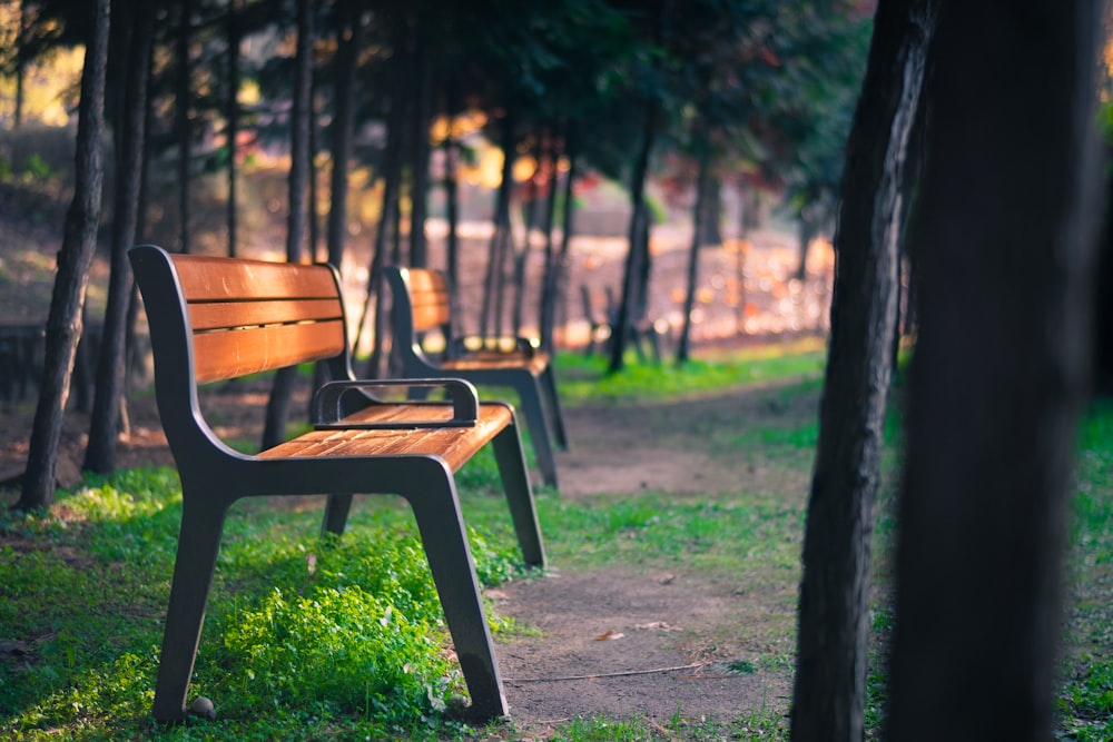 two brown wooden bench under trees during daytime