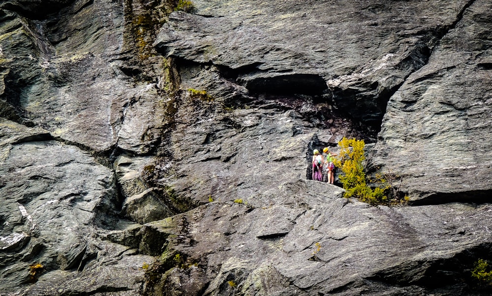 persons standing on rocky mountain