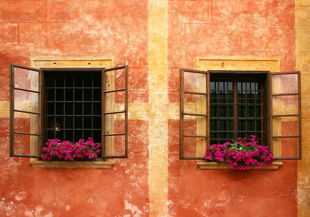 pink petaled flowers on window