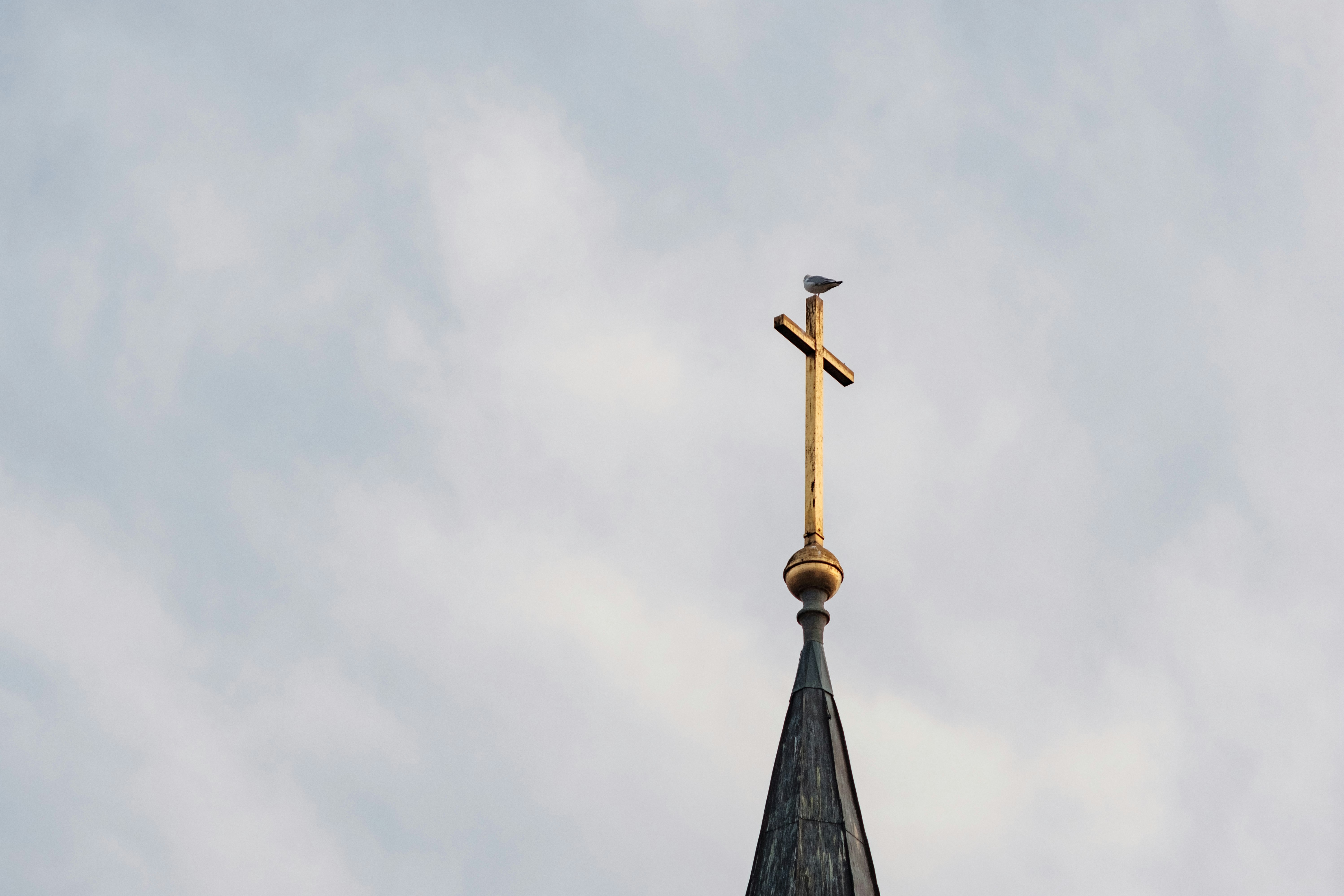 architectural photography of gold-colored cross