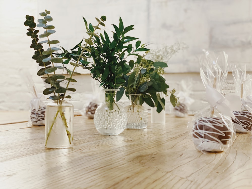 green-leaved plant in glass vase