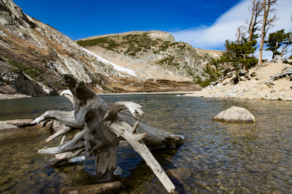 The image depicts a serene mountain lake surrounded by lush greenery and rocky terrain. The calm, light blue water reflects the clear sky above, creating a tranquil atmosphere. On one side of the lake, there is a large tree trunk with a weathered appearance, adding an element of age to the scene. In the background, a majestic mountain range stretches across the horizon, its peaks touching the clear blue sky. The image is taken from a low angle, emphasizing the grandeur and vastness of the landscape.