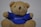 A plush teddy bear with a soft, brown fur texture is dressed in a blue t-shirt with white lettering. The teddy bear has round, black eyes and a small, embroidered nose.