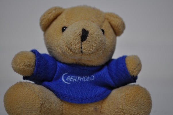 A plush teddy bear with a soft, brown fur texture is dressed in a blue t-shirt with white lettering. The teddy bear has round, black eyes and a small, embroidered nose.