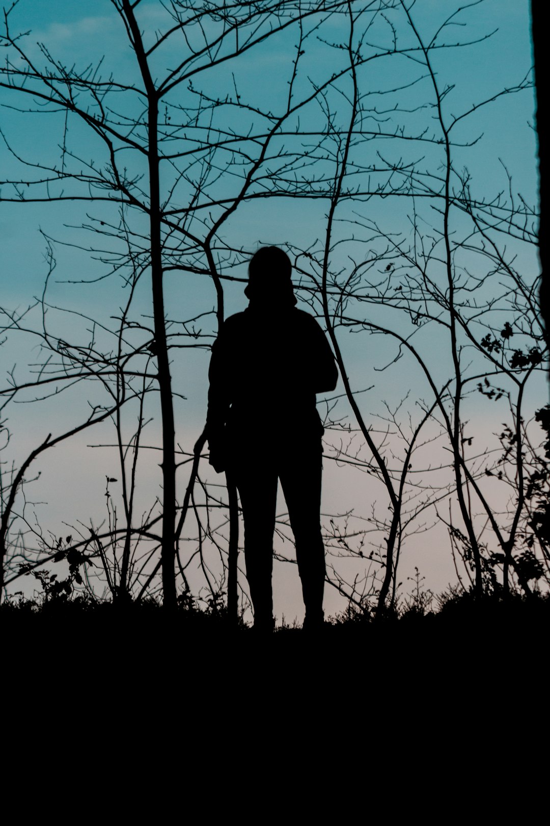 silhouette of woman photograph
