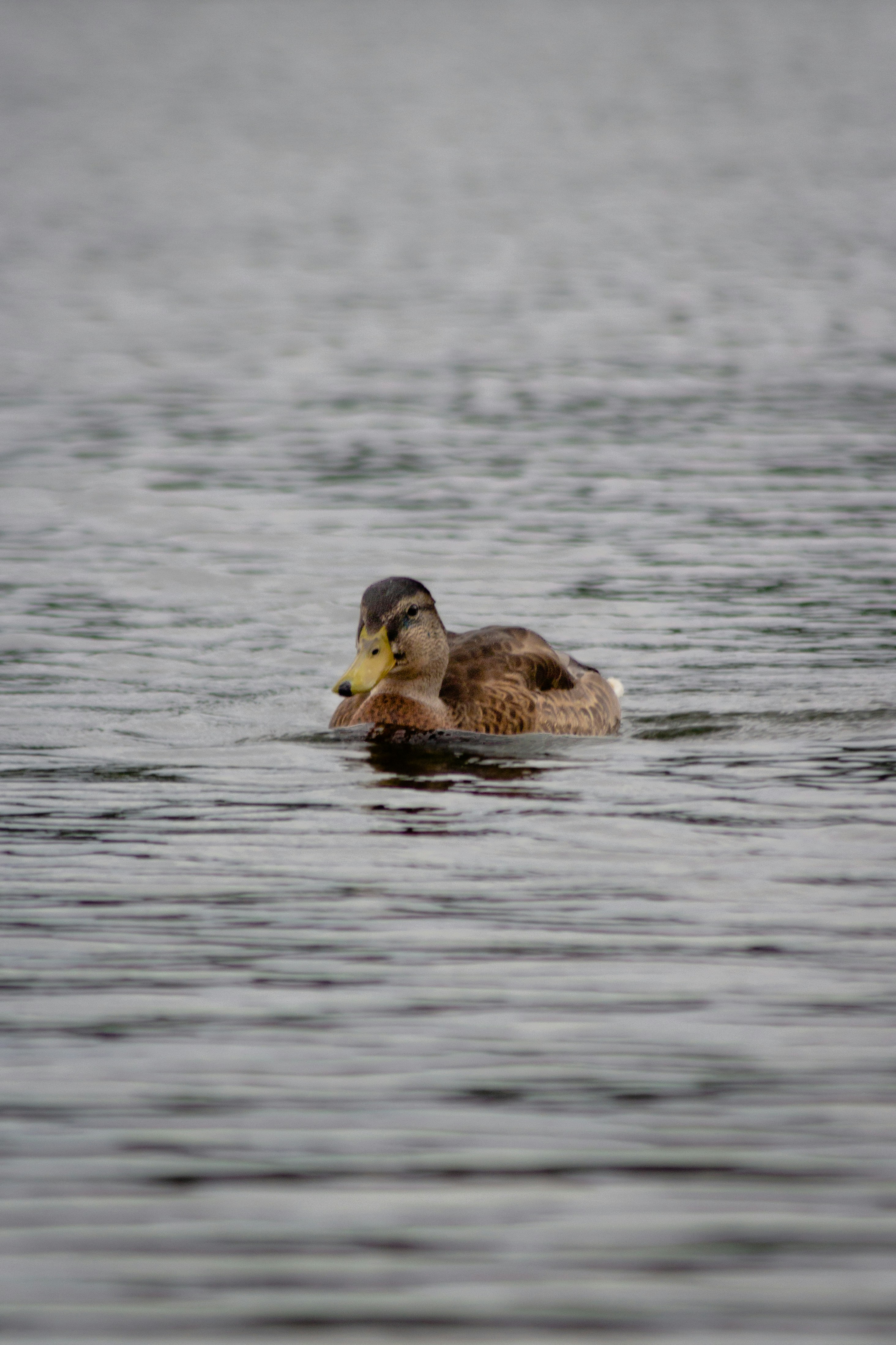 Photo by otohp_by_sakul