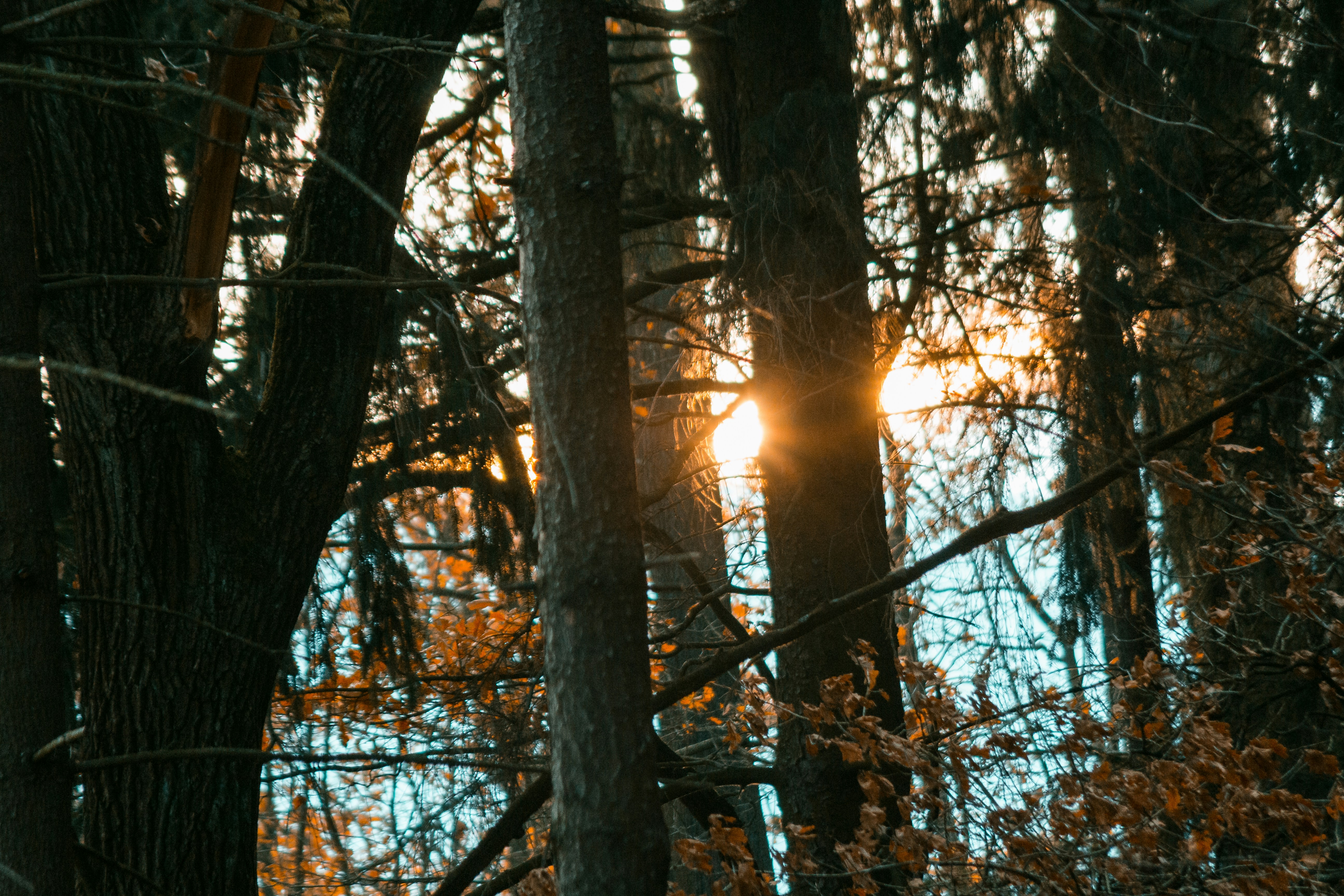 Photo by otohp_by_sakul