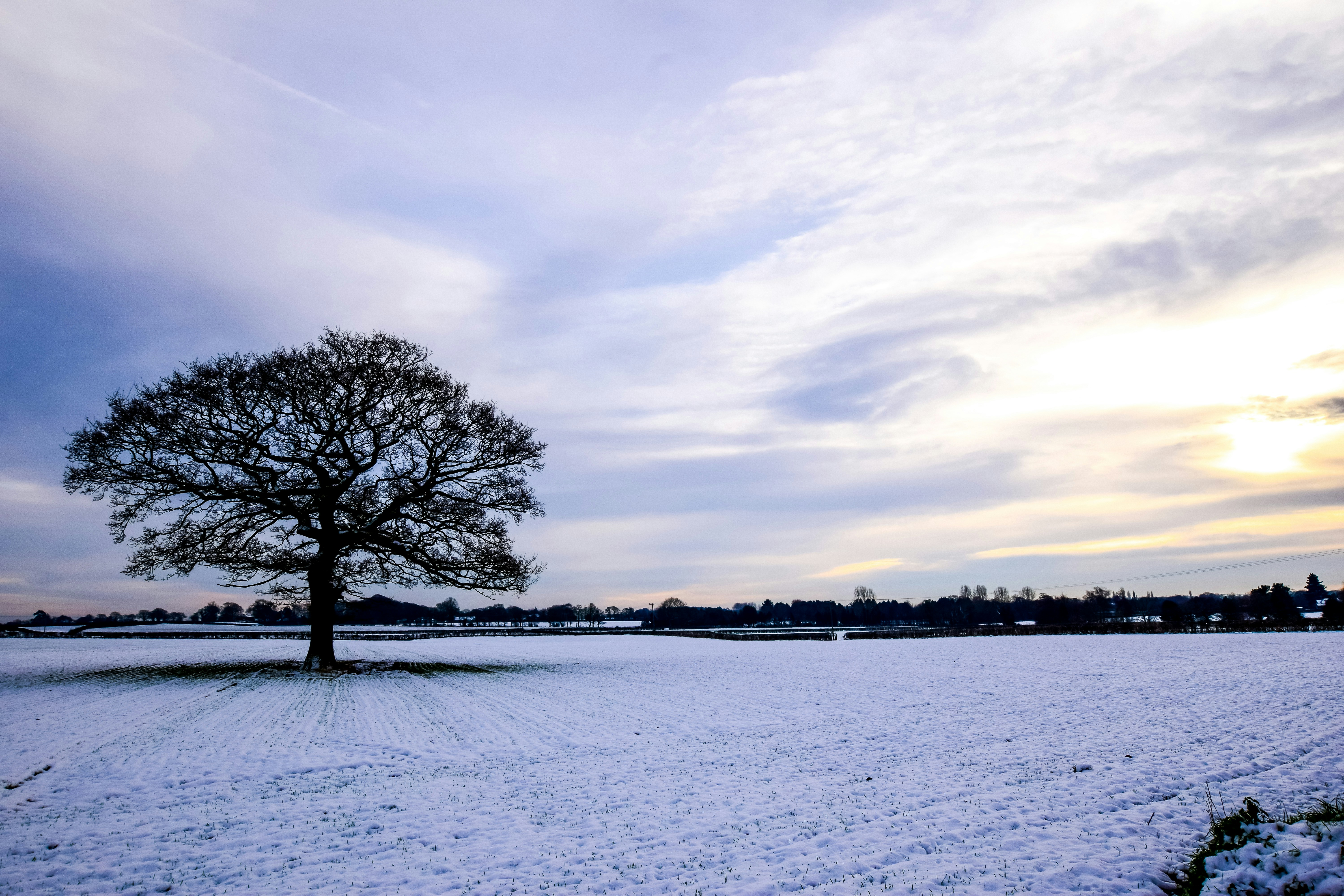 Photo by darren_james_photography