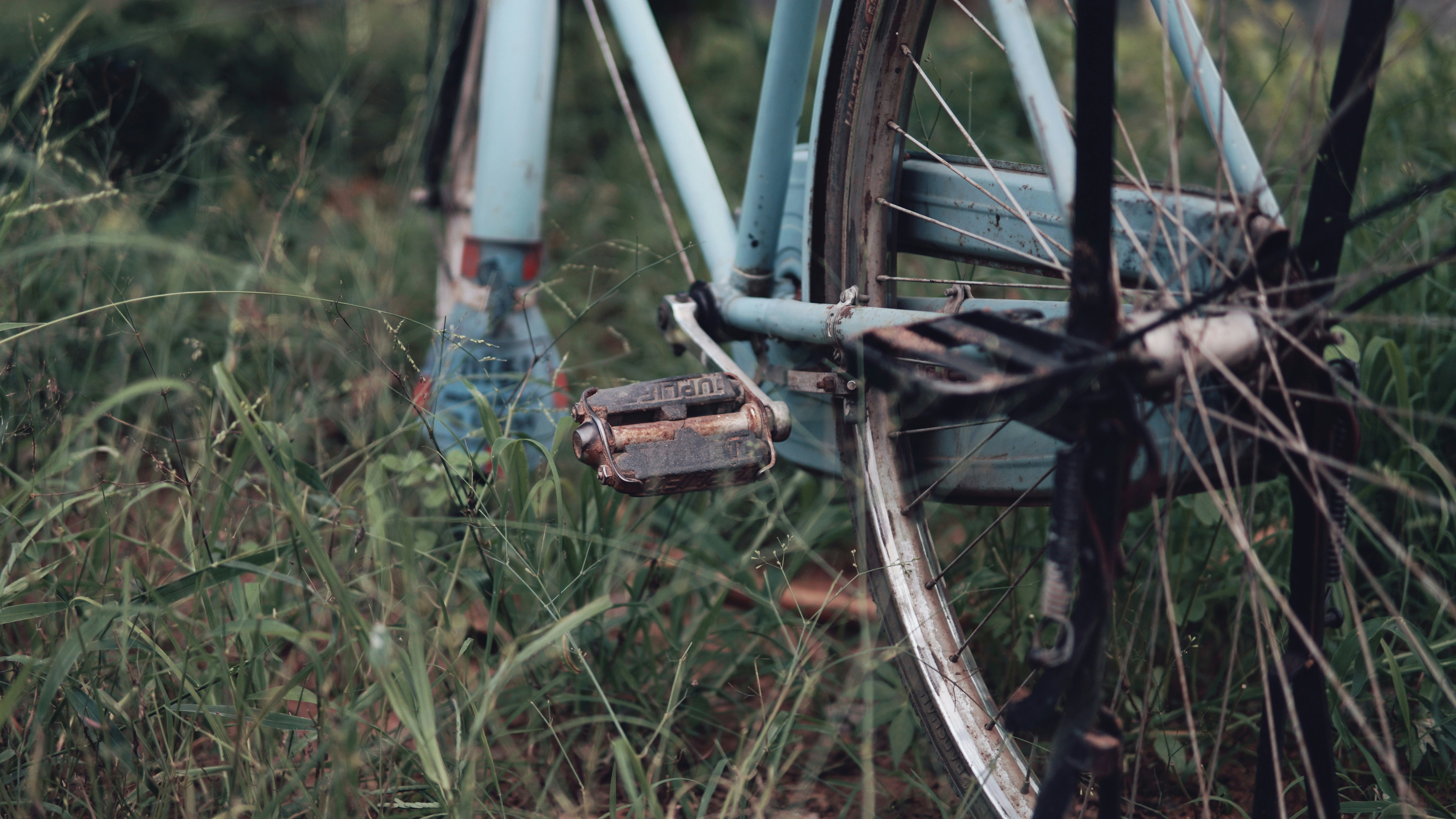 Photo by jehuchristan