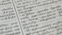 An old palm leaf manuscript showing delicate Tamil calligraphy.