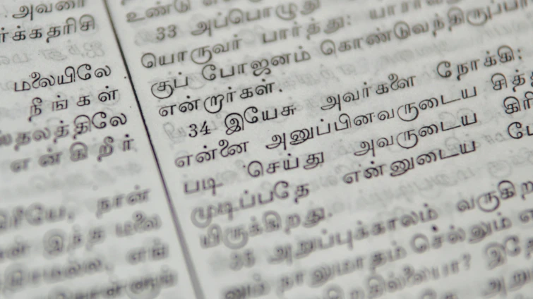 A modern news website homepage in Tamil showing various news categories and vibrant layout.