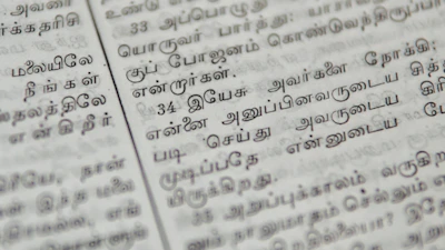 An old palm leaf manuscript showing delicate Tamil calligraphy.