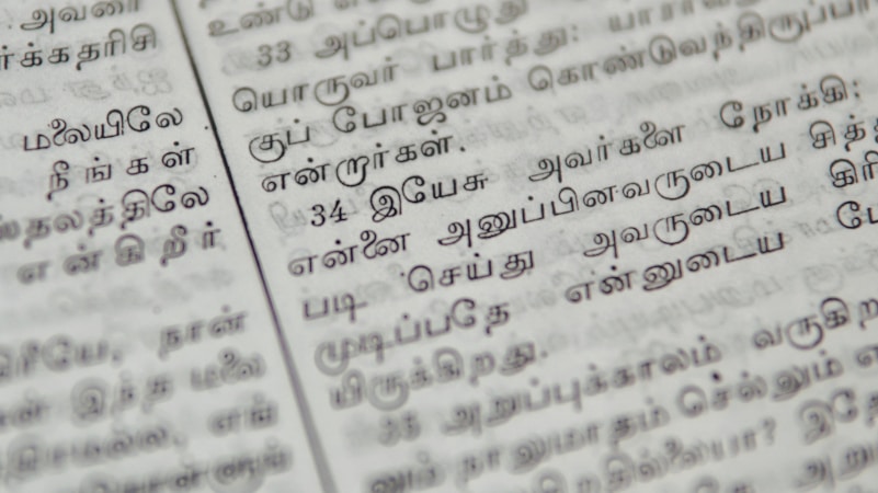 Exploring the Richness of Tamil Literature