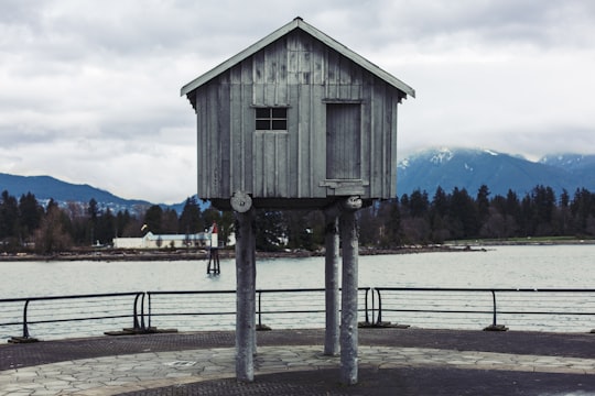 shallow focus photo of gray shed near body of water in Harbour Green Park Canada