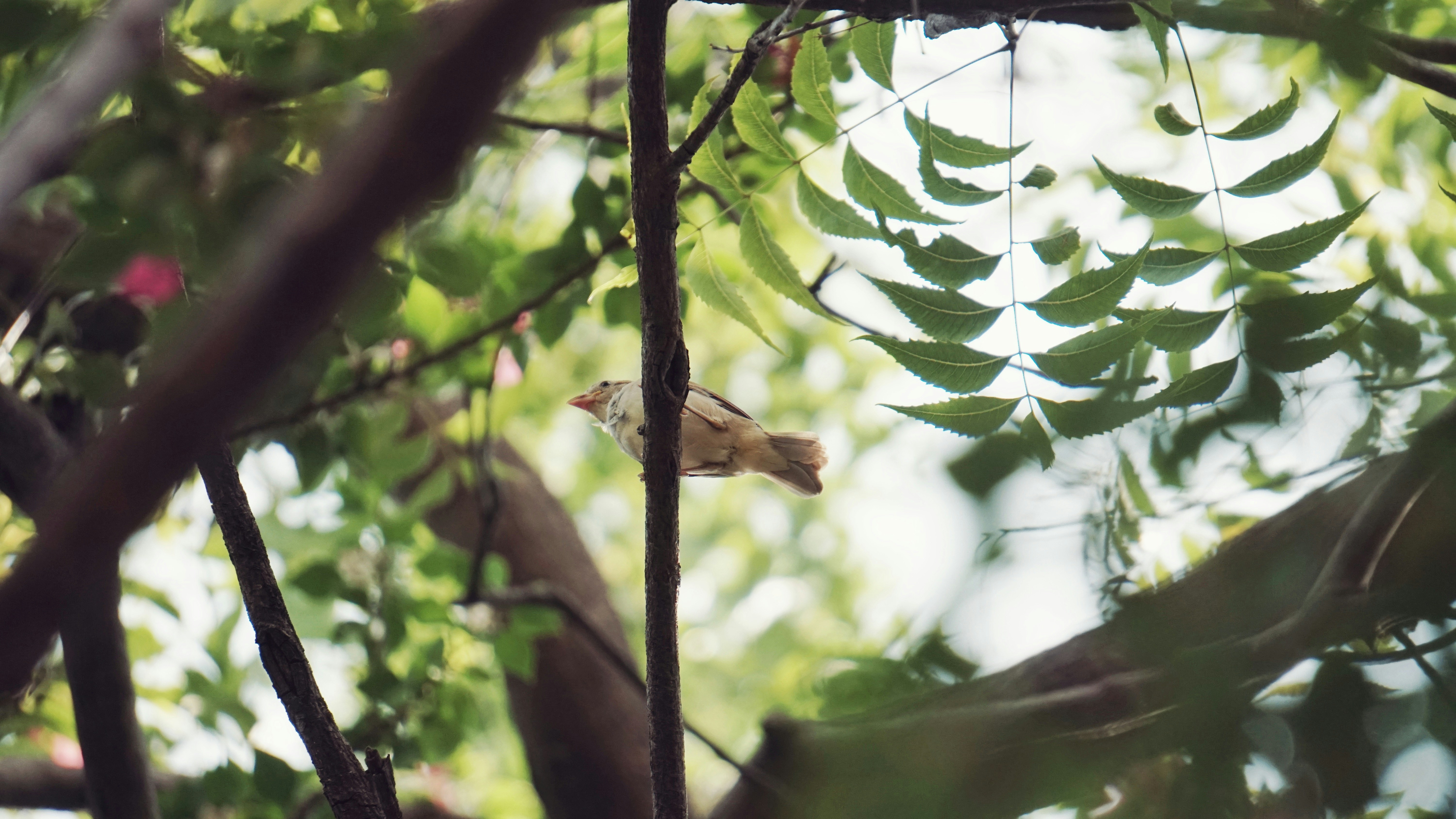 Photo by jehuchristan