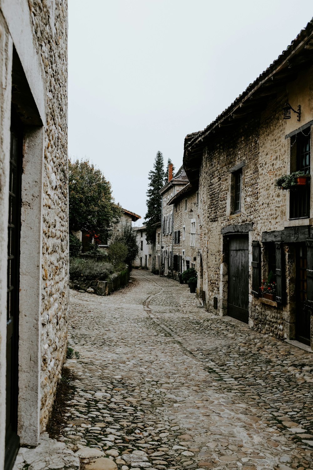 gray houses near green tree