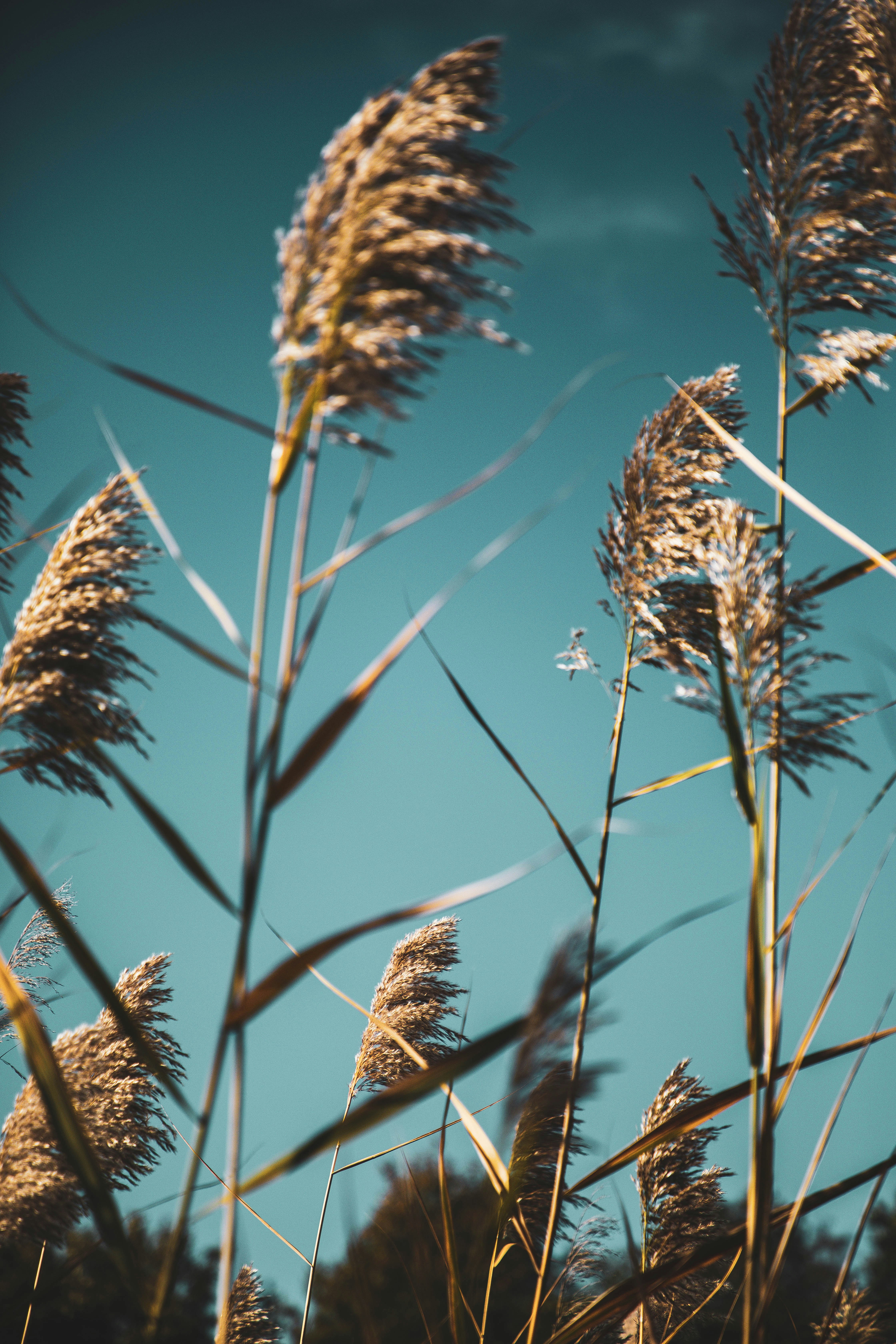 Photo by davidgaviphoto