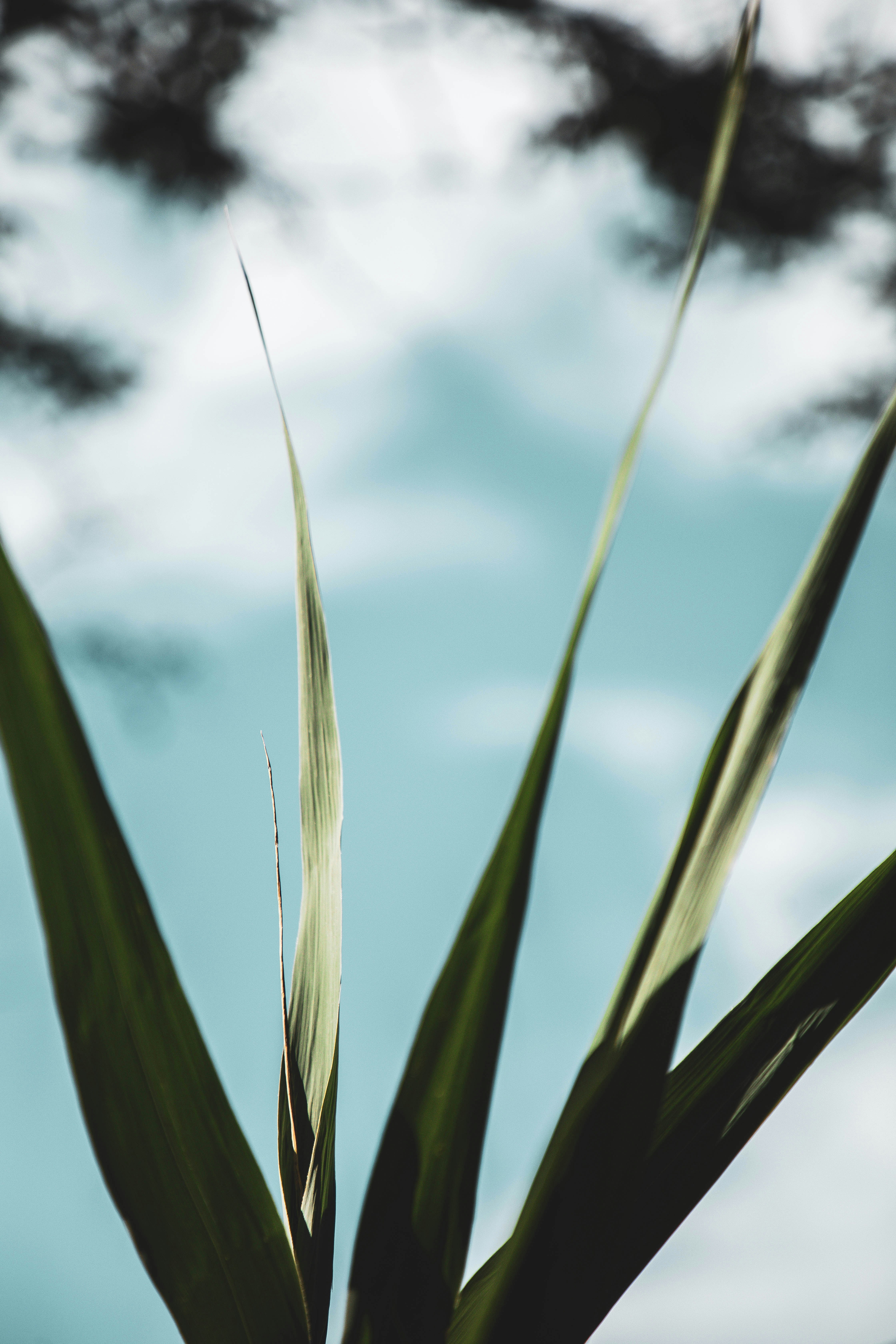 Photo by davidgaviphoto