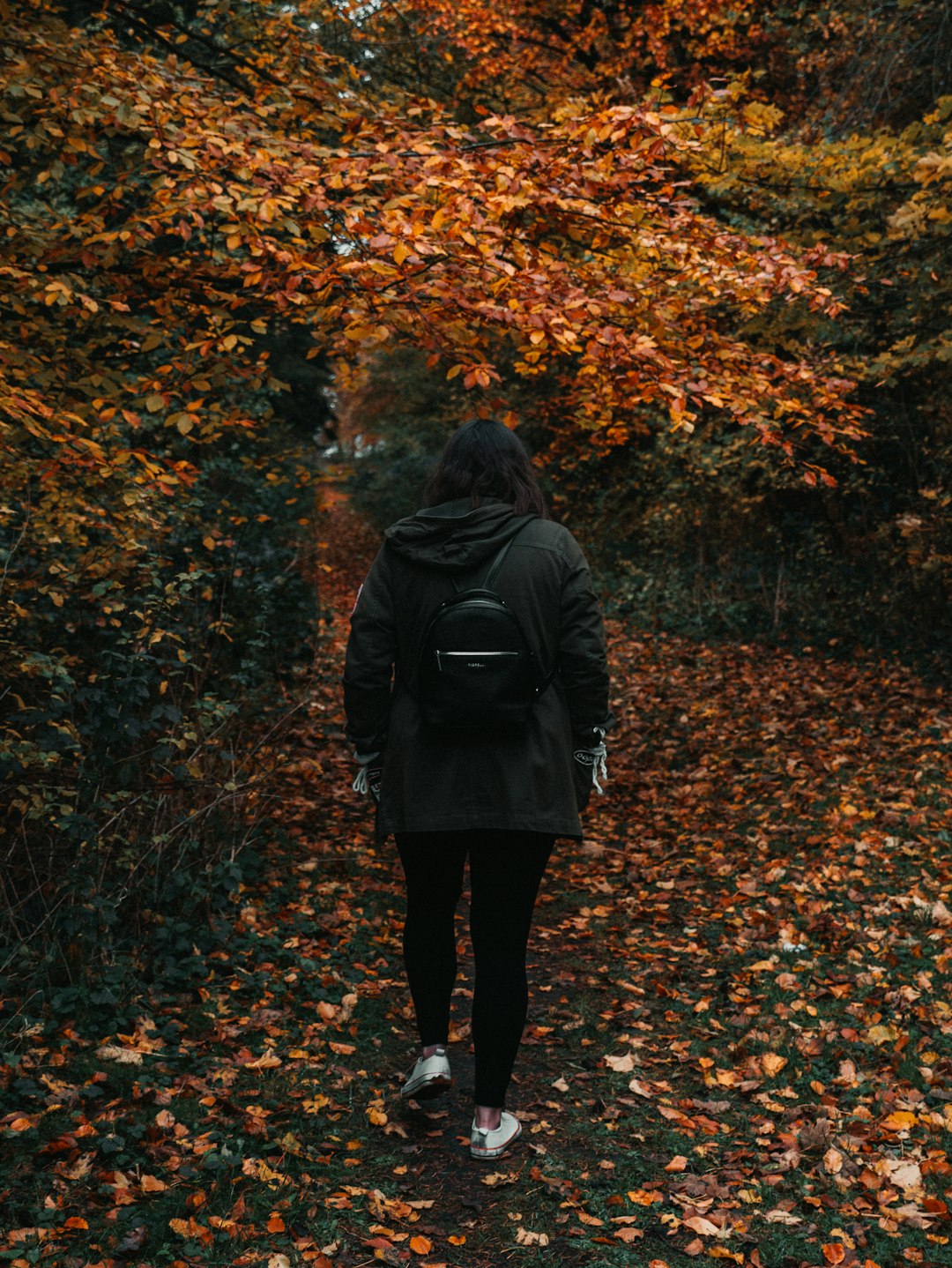 person in black hoodie in front of brown tree