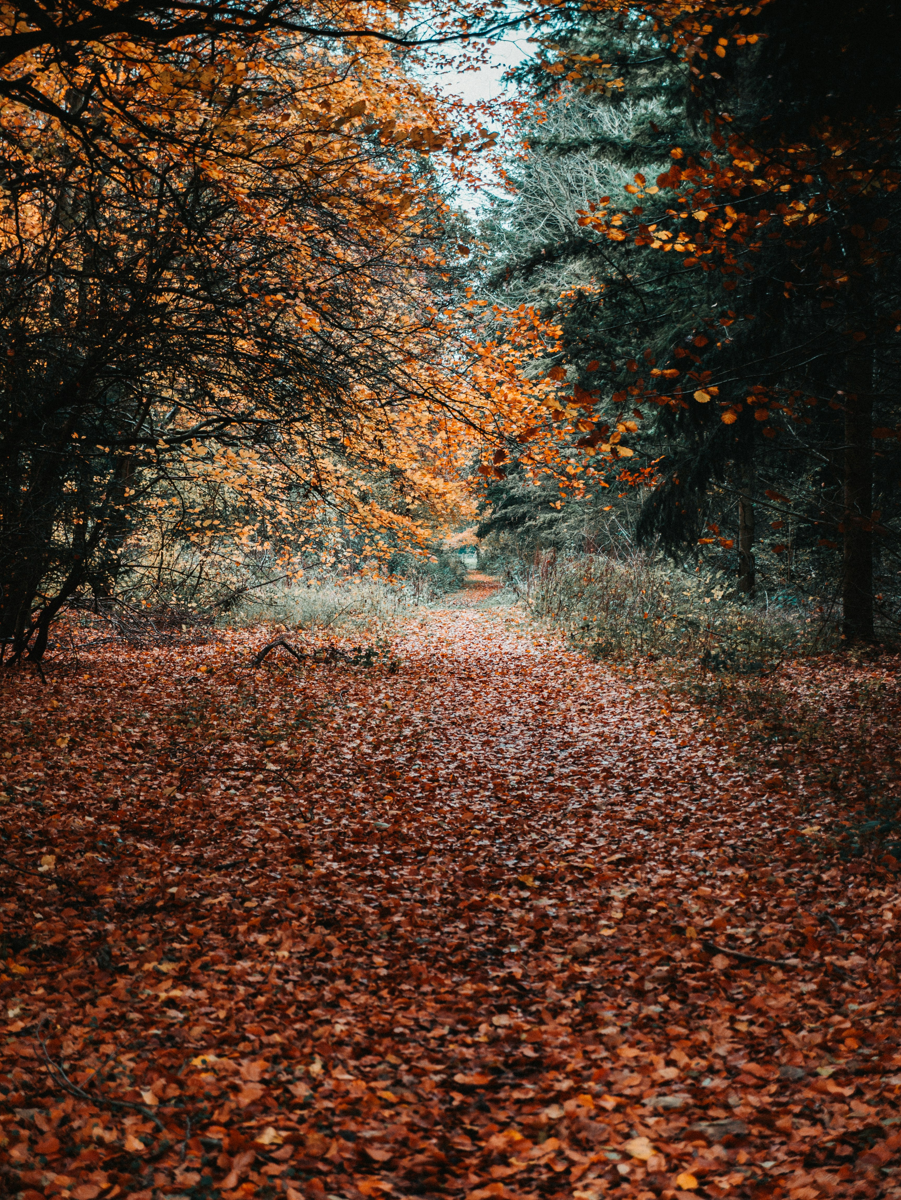 Photo by mattseymour