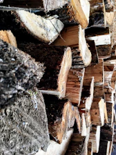 Close-up of eucalyptus logs freshly harvested from local farms, ready for veneer peeling.
