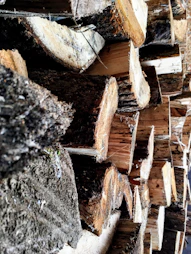 Close-up of eucalyptus logs freshly harvested from local farms, ready for veneer peeling.