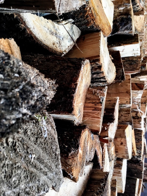 A close-up view of stacked logs, displaying the rough texture and varied coloration of the cut wood. The logs are arranged horizontally, with visible bark and annual rings, indicating freshly cut timber.
