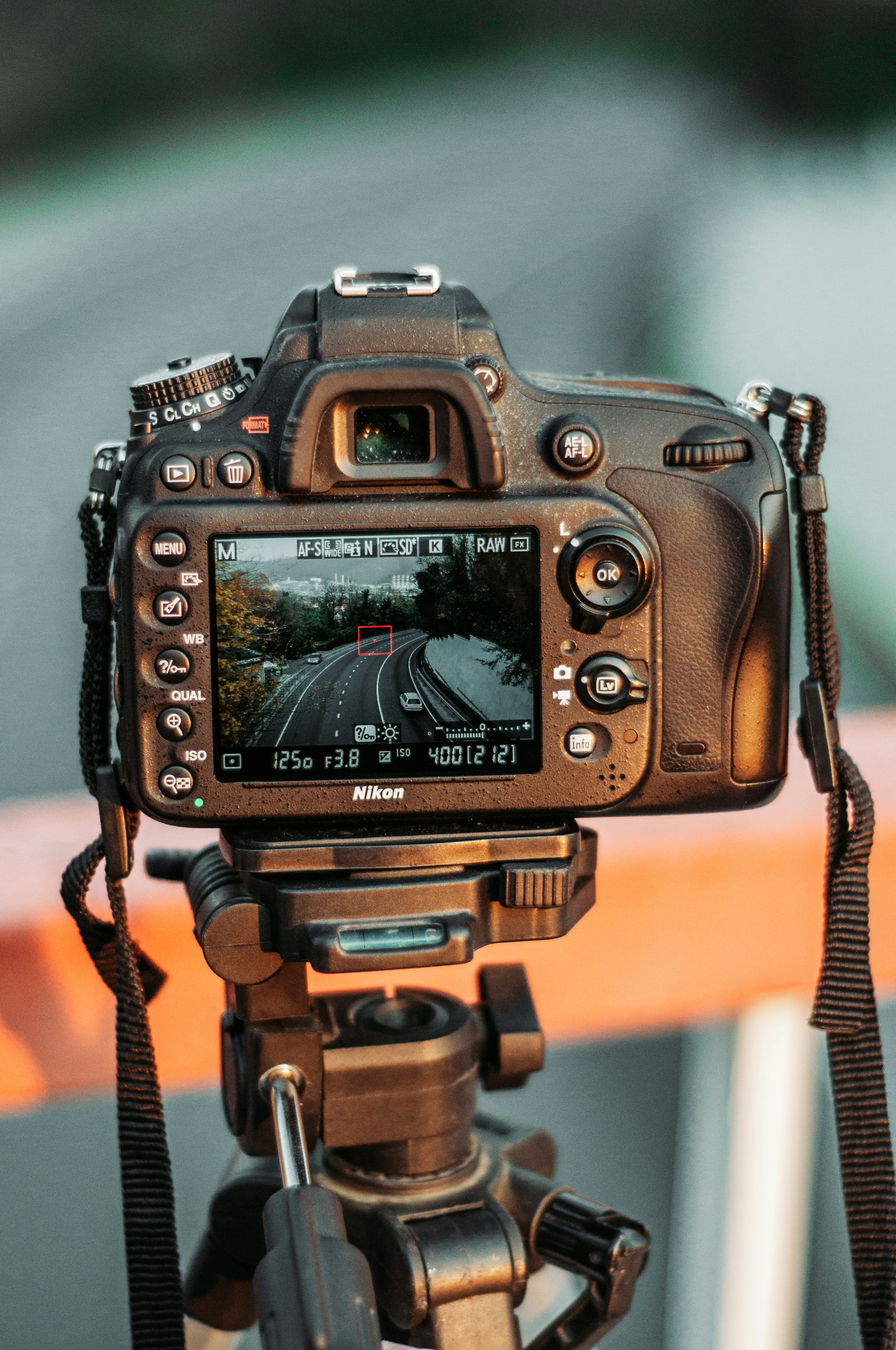 Nikon D90 sample photo 8qlJI8tJO5 ExploreCams