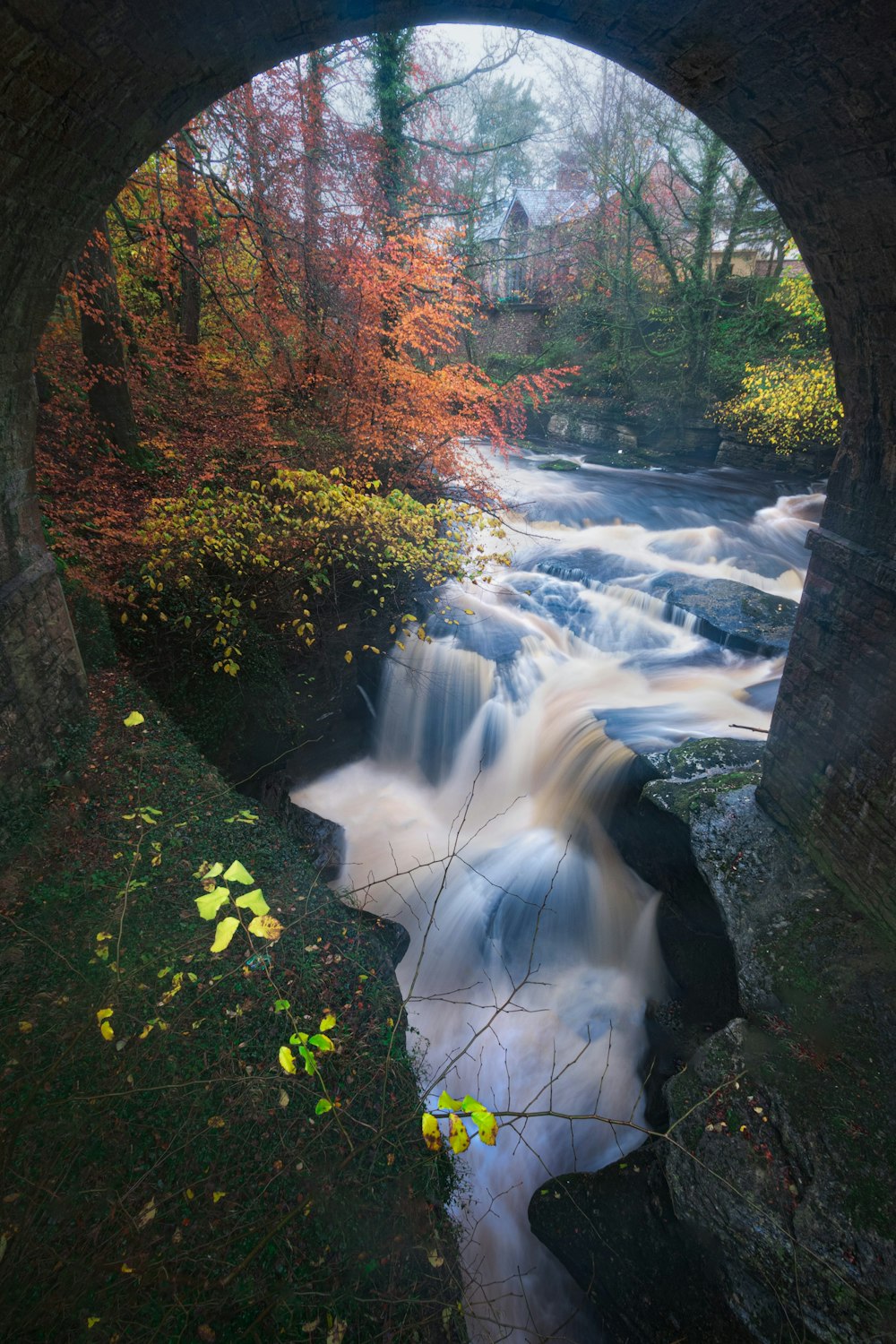 river through concrete bridge