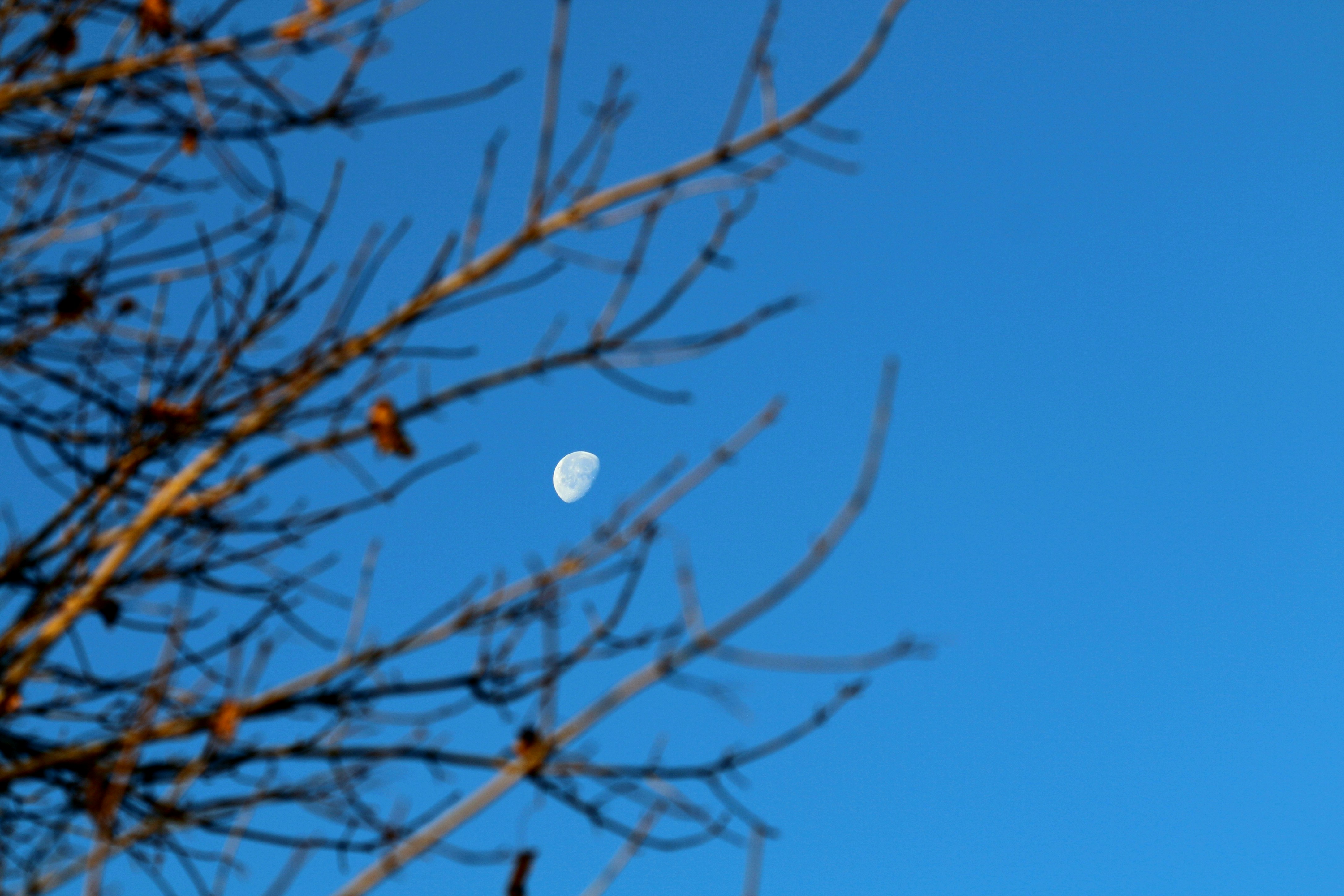 Photo by richardworks