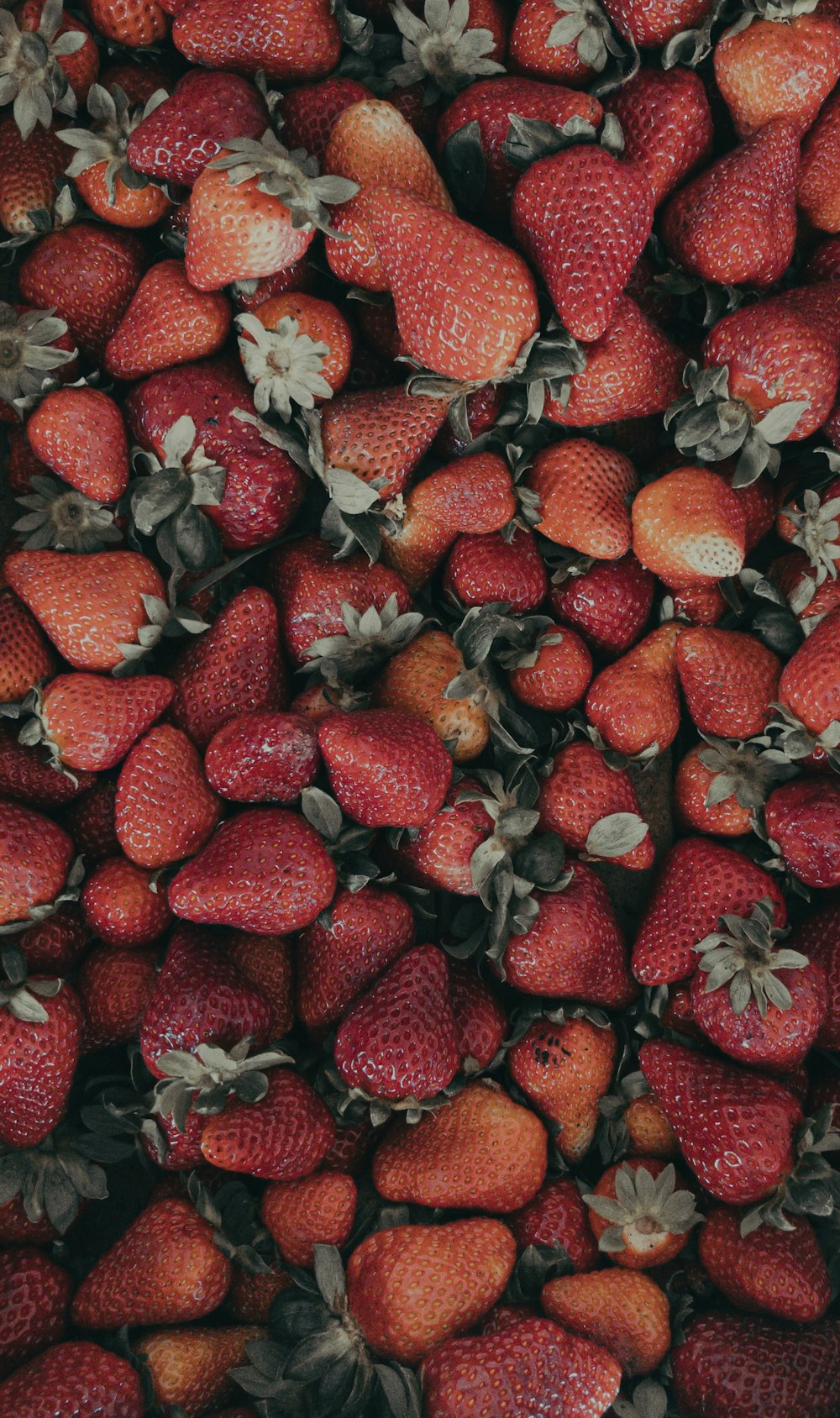 red strawberries