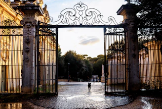 dog walking through opened gates