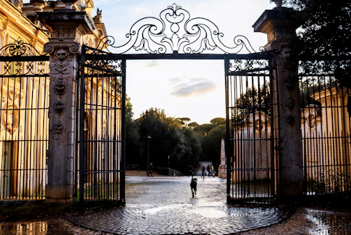 dog walking through opened gates