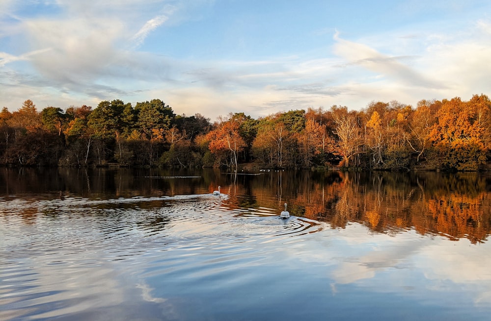 a boat floating on top of a lake surrounded by trees