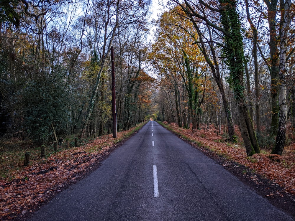 road pavement photograph