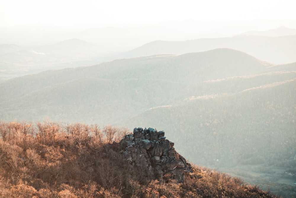 rocky mountain photograph