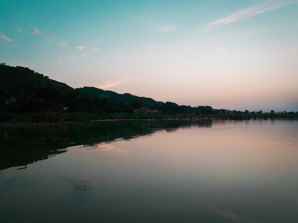 trees beside calm body of water