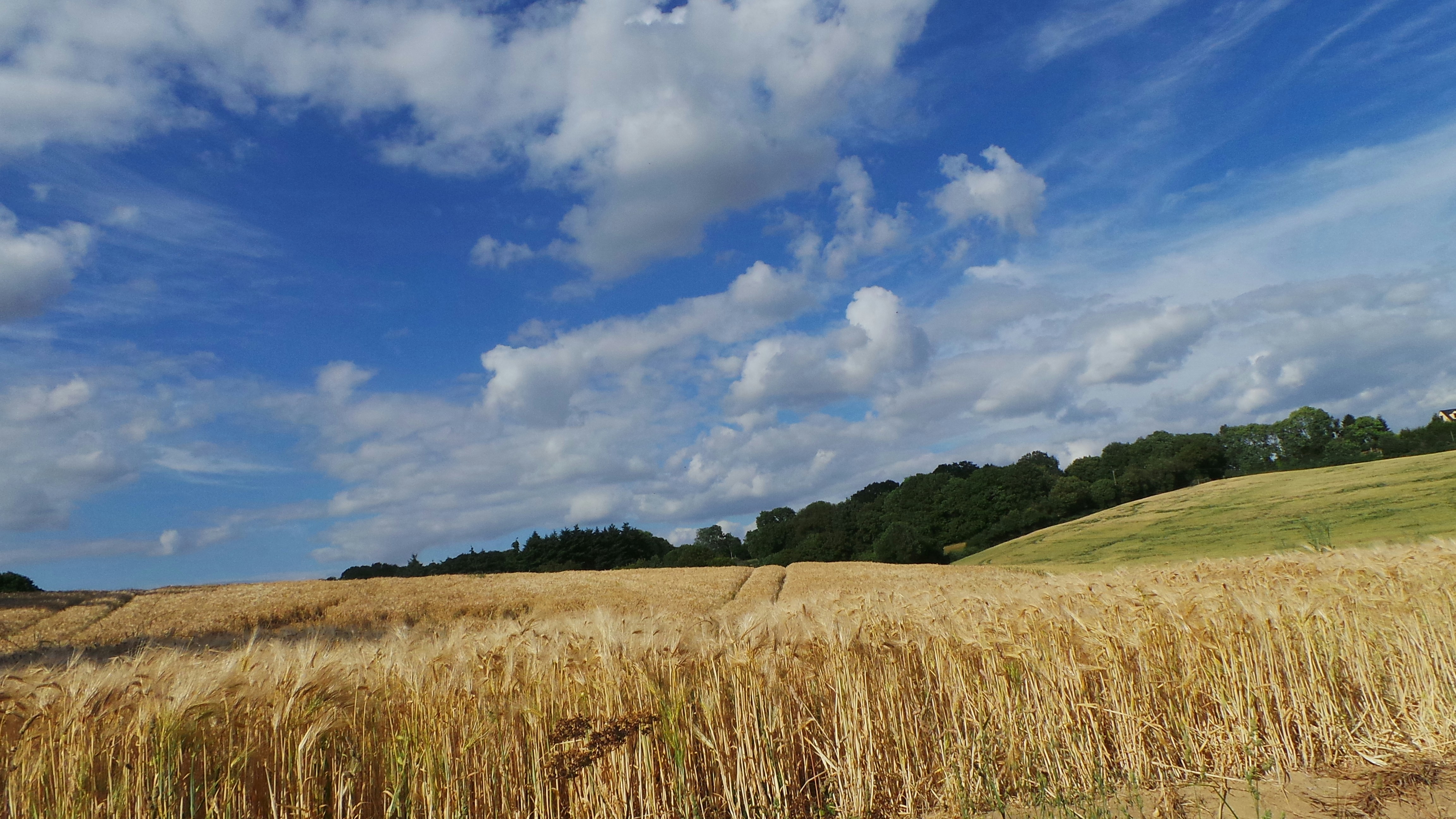 Photo by nathalieandre