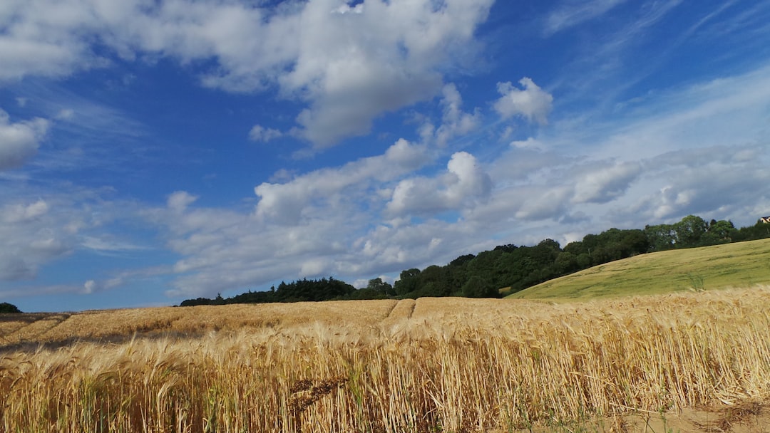 Plain photo spot Bonsmoulins Les Andelys