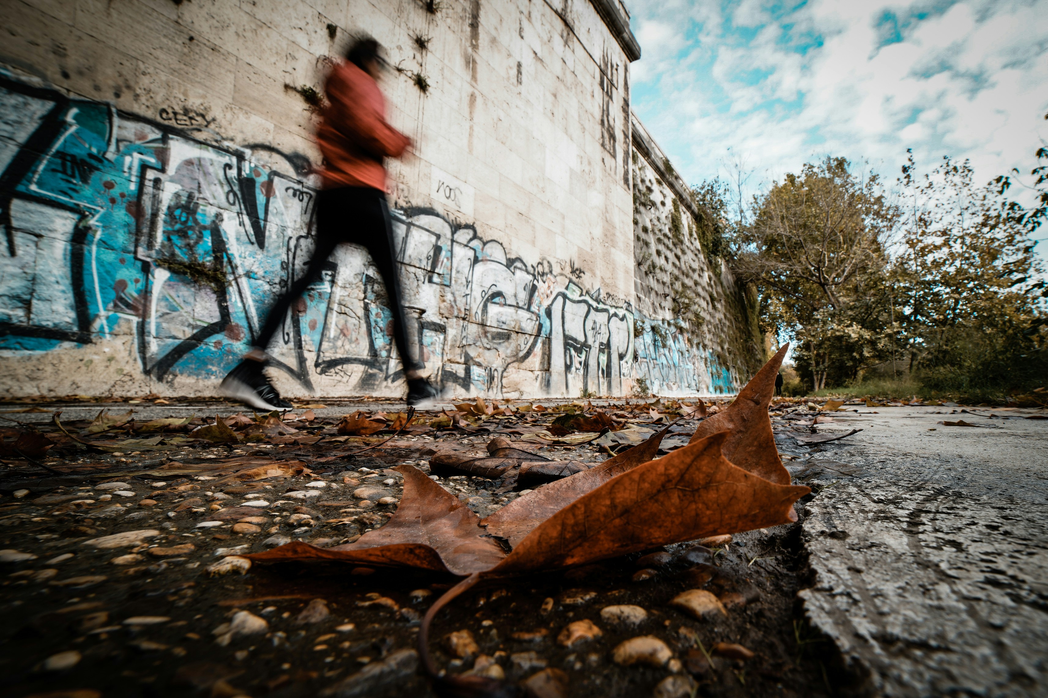 Photo by umityildirim