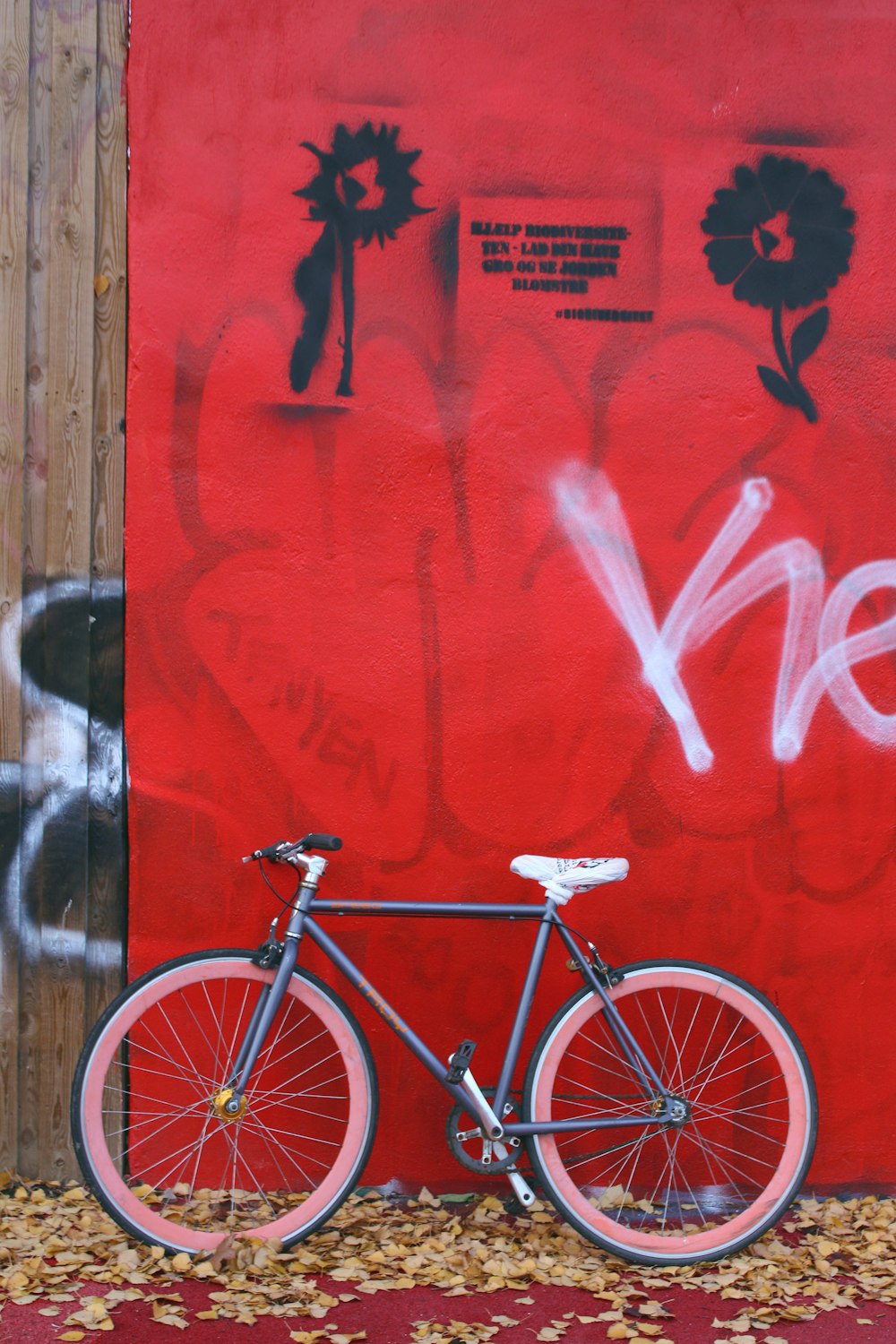 black and red bike leaning near red wall